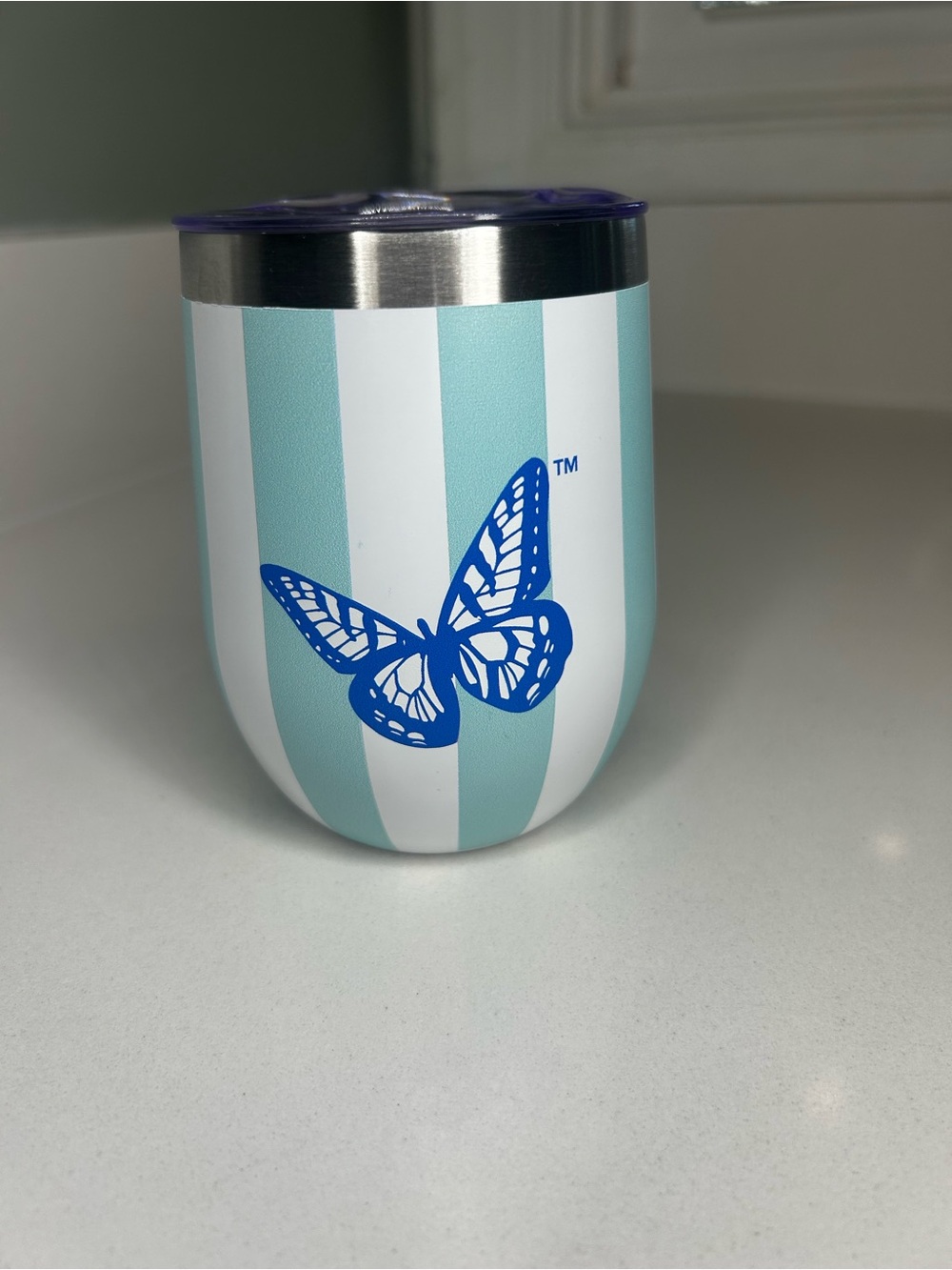NWT Dolly Parton Turquoise Stripe Butterfly Insulated 12oz Tumbler